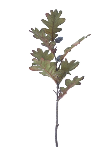 Picture of 25" OAK LEAF ACORN SPRAY