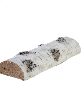 Picture of 11.5"X 4" BIRCH LOG