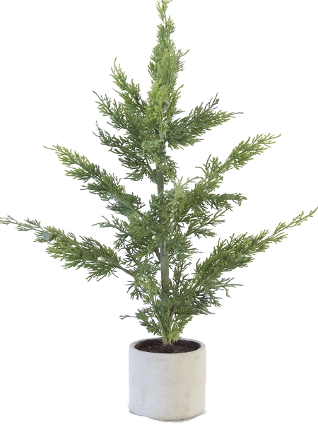 Picture of 30.5" JUNIPER POTTED TREE