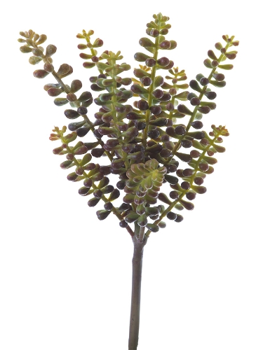 Picture of 10.5" SEDUM PICK