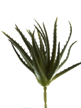 Picture of 10" ALOE PICK