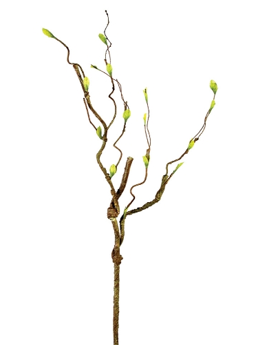 Picture of 29" WEATHERED TWIG