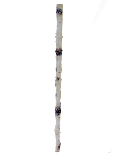 Picture of 34" X 1.25" BIRCH STICK