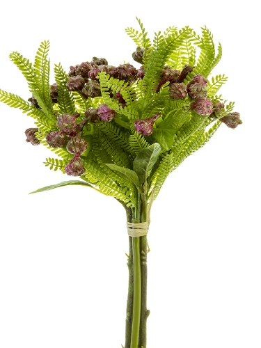 Picture of 14" EUCALYPTUS BUD FERN BUNDLE