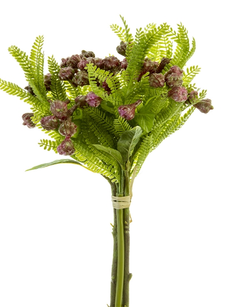 Picture of 14" EUCALYPTUS BUD FERN BUNDLE