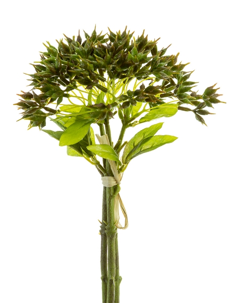 Picture of 13" EUCALYPTUS SEED BUNDLE