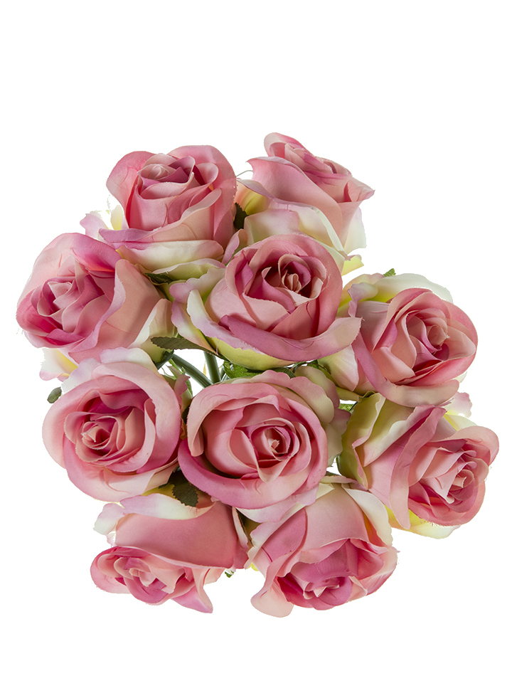 American Best. 11"STANDARD ROSE BUNDLE X10