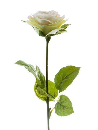 Picture of 17" SMALL ROSE STEM