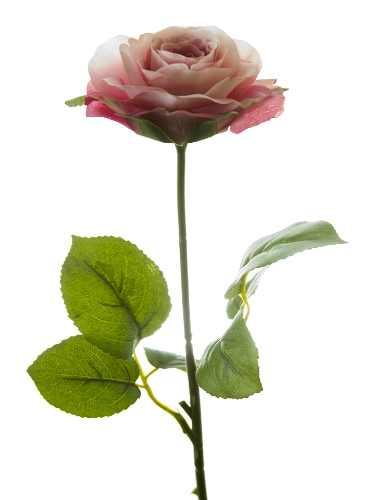 Picture of 17" SMALL ROSE STEM