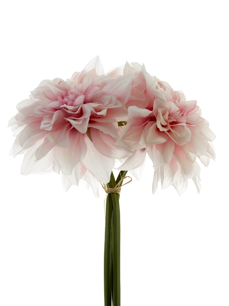 Picture of 10" DAHLIA BUNDLE