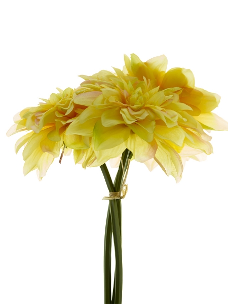 Picture of 10" DAHLIA BUNDLE