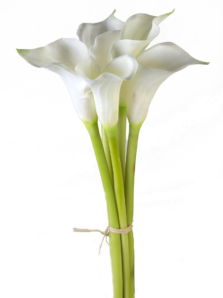 Picture of 26.5" CALLA LILY BUNDLE X5