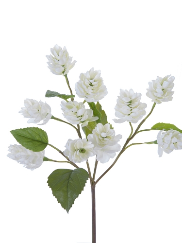 Picture of 12" HOP SPRAY