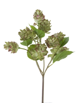 Picture of 12" HOP SPRAY