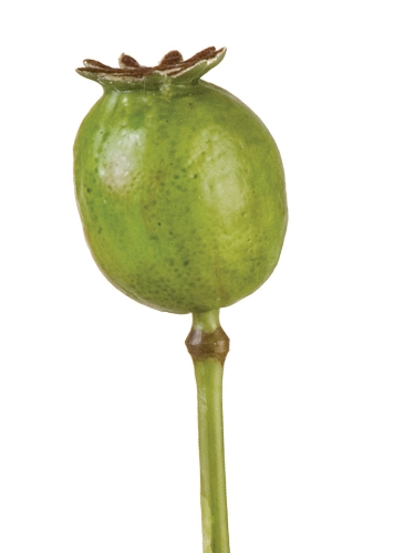 Picture of 19.5" LARGE POPPY POD
