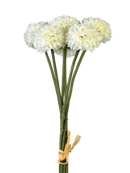 Picture of 12" MINI ASTER BUNDLE X 6