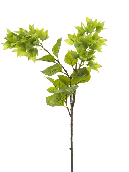 Picture of 34" BOUGAINVILLEA SPRAY