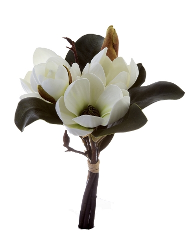 Picture of 11" MAGNOLIA TREE BUNDLE