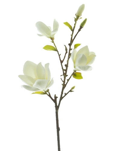 Picture of 34" HALF BL0OM MAGNOLIA SPRAY