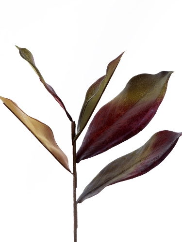Picture of 16" MAGNOLIA LEAF PICK