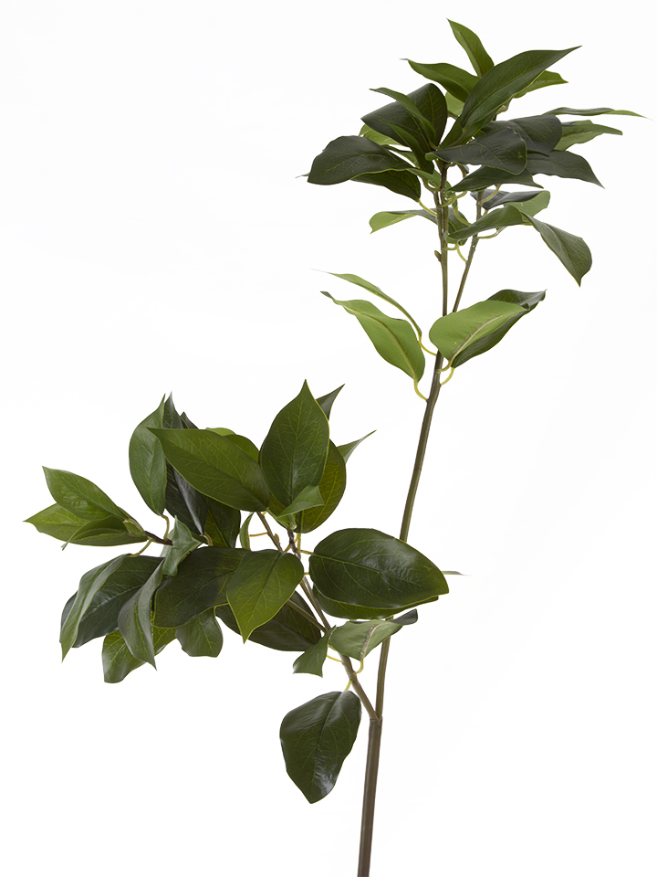 American Best. 38" LAUREL LEAVES LONG BRANCH