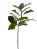 Picture of 32" MAGNOLIA LEAVES STEM