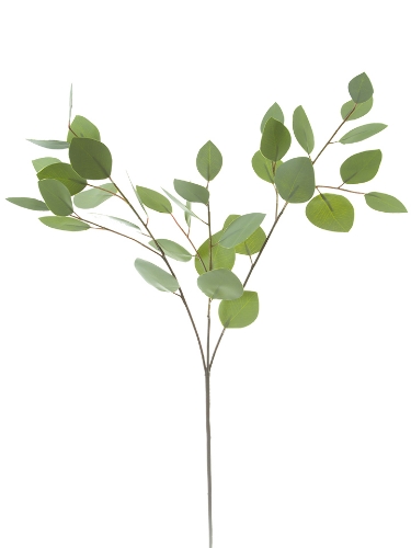 Picture of 32" SILVER DOLLAR  EUCALYPTUS SPRAY