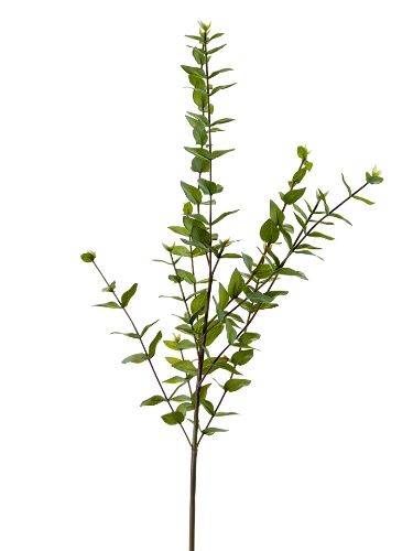 Picture of 38" MINI HEART EUCALYPTUS SPRAY