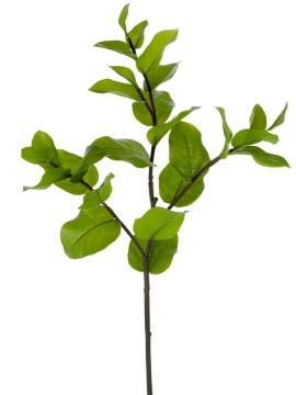Picture of 32" LEMON LEAF SPRAY