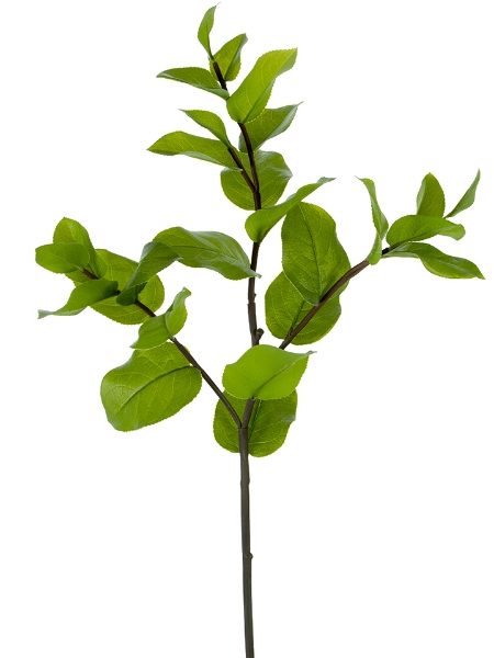 Picture of 32" LEMON LEAF SPRAY