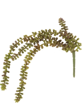 Picture of 23" SEDUM X 5 WITH STEM