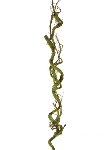 Picture of 42" MOSSY TWIG