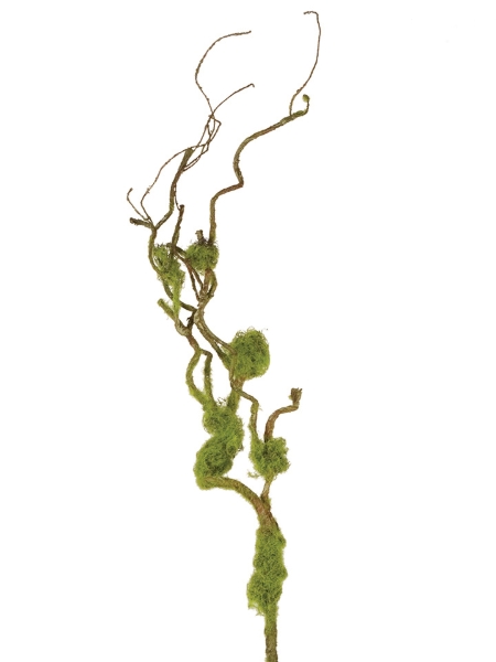 Picture of 38" MOSSY TWIG