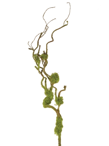 Picture of 38" MOSSY TWIG