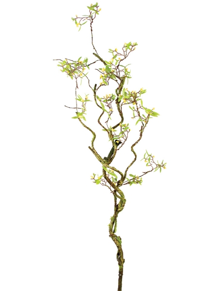 Picture of 35" BLOOMING MOSS SPRAY