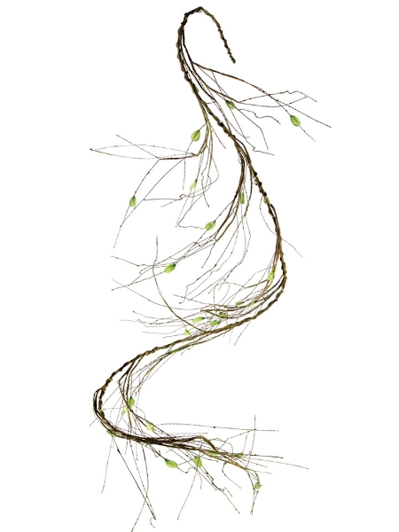 Picture of 72" TWIG VINE