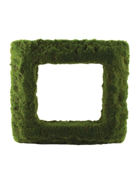 Picture of 24" X 24" SQUARE MOSS FRAME