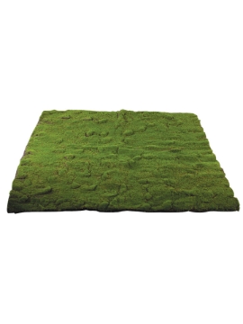 Picture of 39" X 39" MOSS MAT