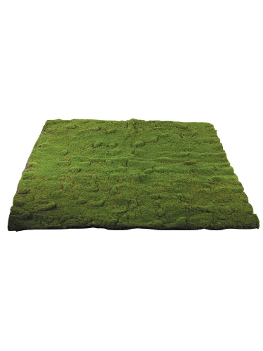 Picture of 39" X 39" MOSS MAT