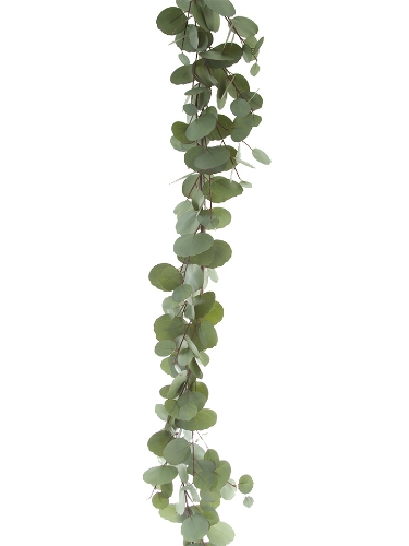 Picture of 5' SILVER DOLLAR EUCALYPTUS GARLAND