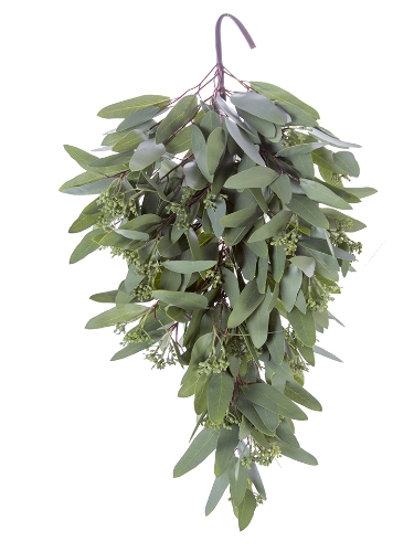 Picture of 24" LONG LEAF EUCALYPTUS TEAR DROP