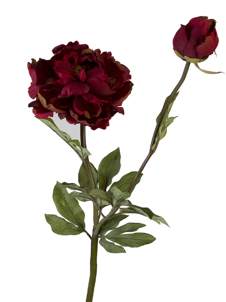 Picture of 32" GRAND PEONY