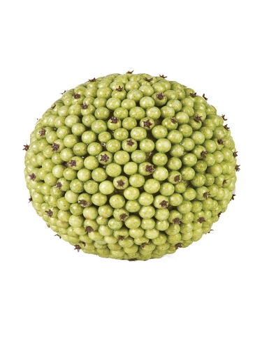 Picture of 5" LARGE BERRY BALL