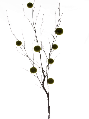 Picture of 51" MOSS BALL BRANCH