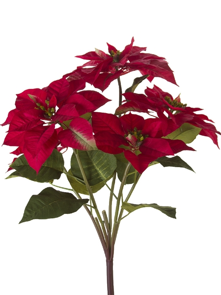 Picture of 29" POINSETTIA BUSH X5