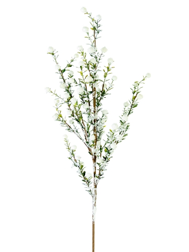 Picture of 35" SNOWY BOXWOOD BERRY SPRAY