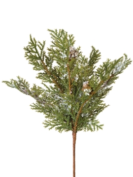 Picture of 11" SNOWY CEDAR