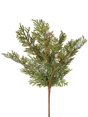 Picture of 11" SNOWY CEDAR