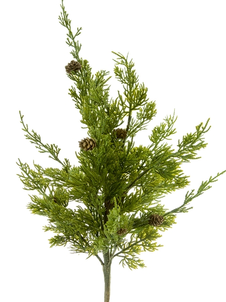 Picture of 20" CYPRESS  BUSH