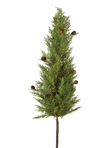 Picture of 30" CYPRESS TREE